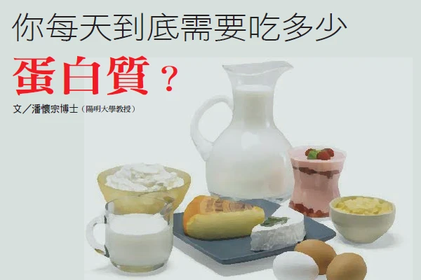 你每天到底需要吃多少蛋白質？｜潘懷宗博士專欄